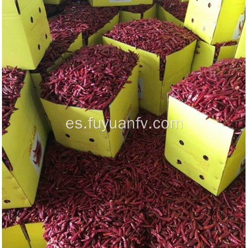 polvo de paprika caotiana deshidratada